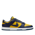 SB Dunk Michigan